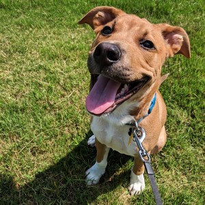 Fundraising Page: Morgan Nelson